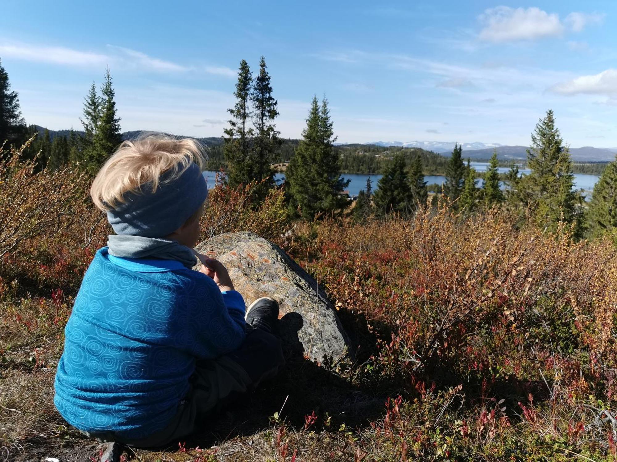Gronolen Fjellgard Hotel Beitostolen Luaran gambar
