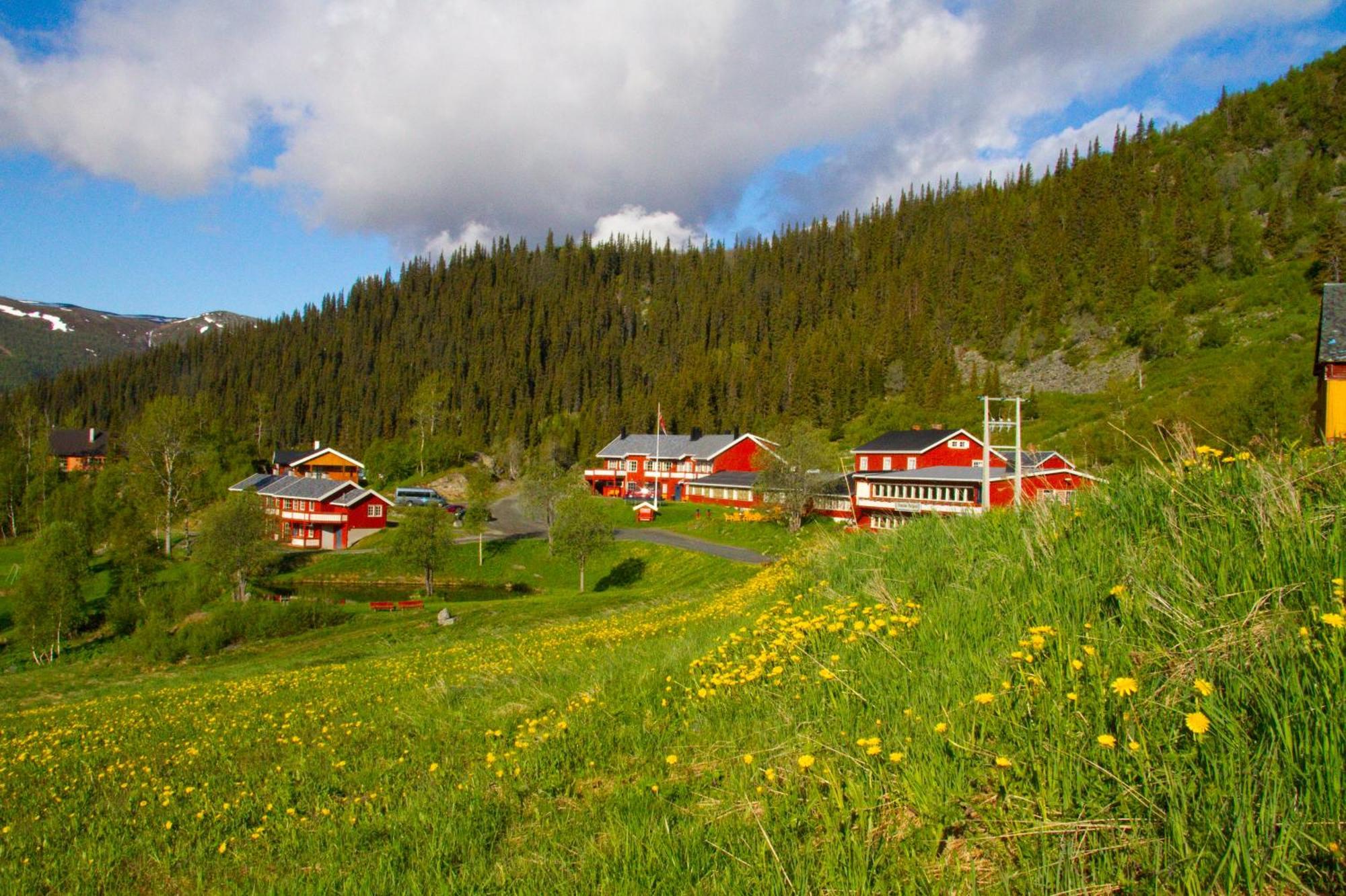 Gronolen Fjellgard Hotel Beitostolen Luaran gambar